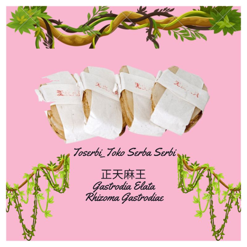 

100gr Tian Ma Asli Rhizoma Gastrodiae Gastrodia Elata