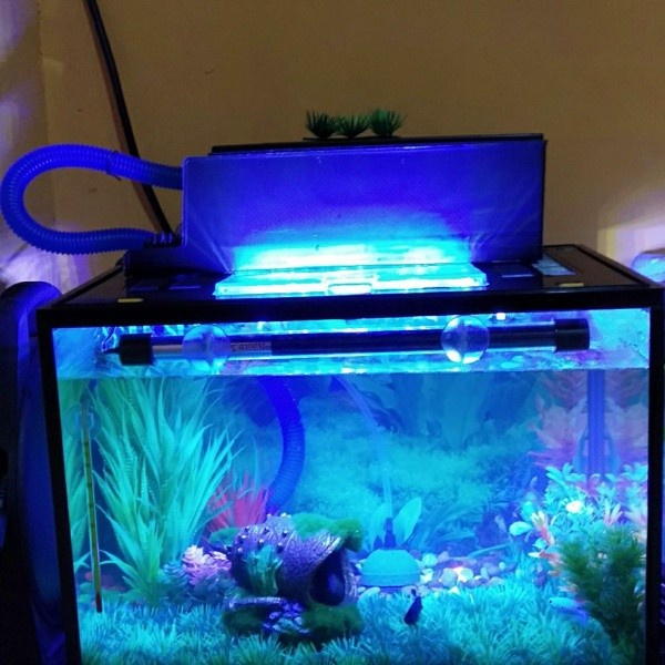 Aksesoris Aquarium Aquaspace - Pipa Bening aquarium - Pipa Filtrasi 50 cm