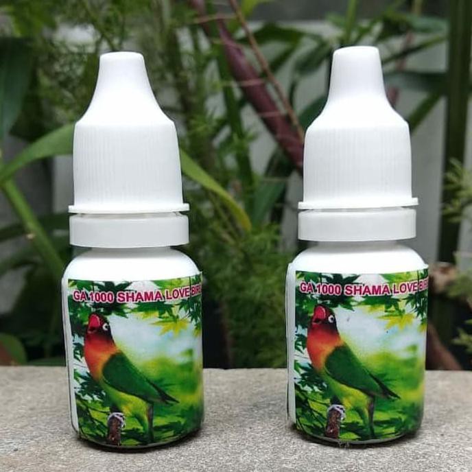 

GA 1000 SHAMA - LOVEBIRD OIL BIKIN NGEKEK SEPANJANG HARI PROMO SPECIAL