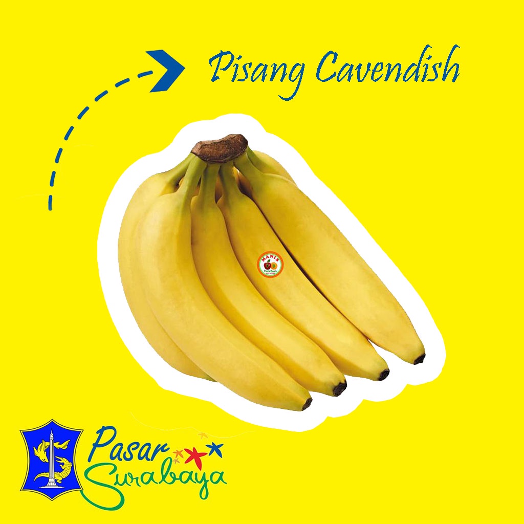 Pisang Canvendish Sunpride