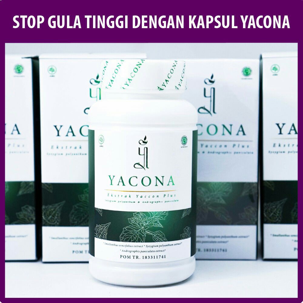 Obat Penurun Gula Darah Yacona Herbal Terbaik & Mujarab