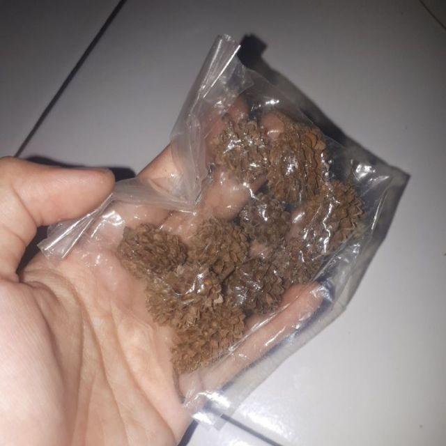 Biji Durenan Bahan Mahar Dan Craft Rustic