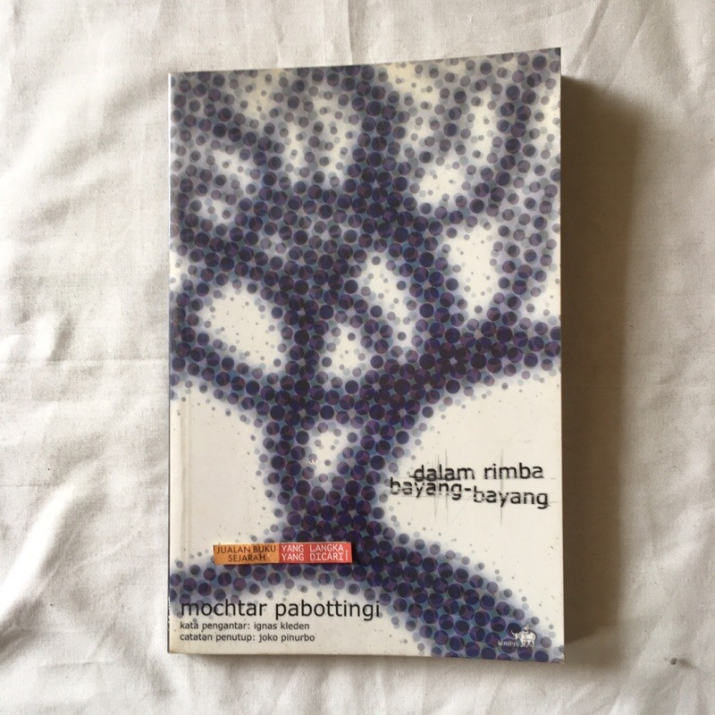 DALAM RIMBA BAYANG-BAYANG - MOCTAR PABOTTINGI