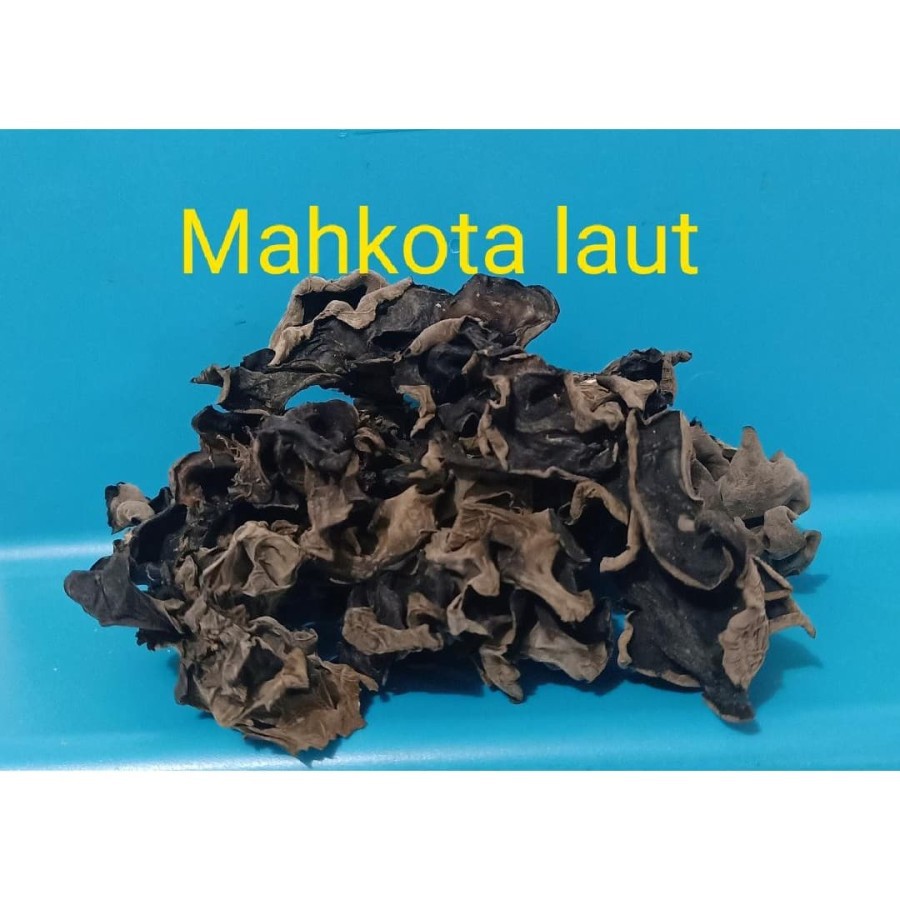

Jamur Kuping Hitam Kering/ Bok Ji / Dried Black Fungus - 100gr