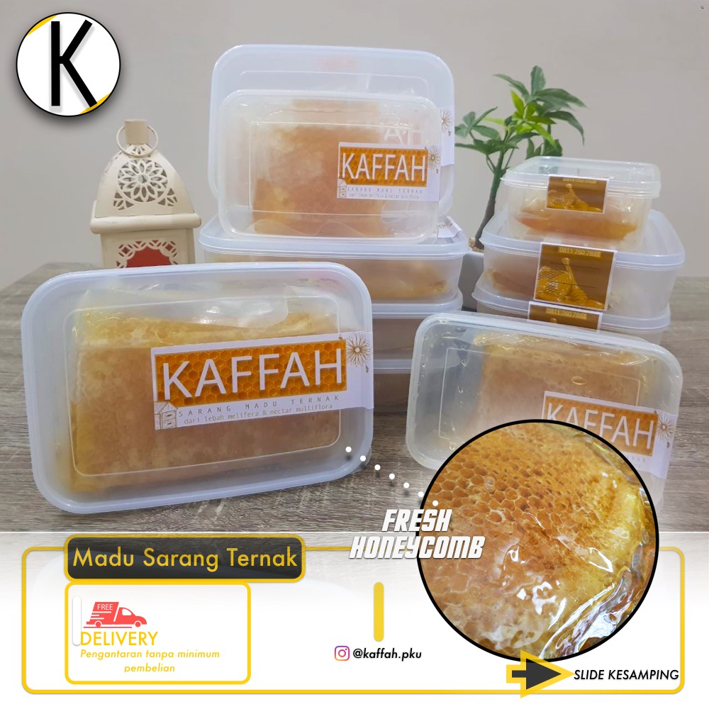 

SARANG MADU TERNAK ALAMI