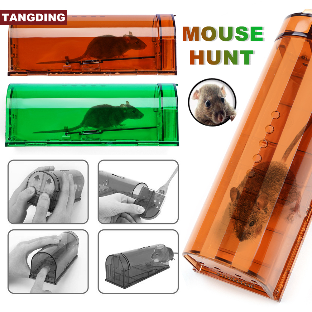 Tangding Perangkap Tikus Hidup Manusia