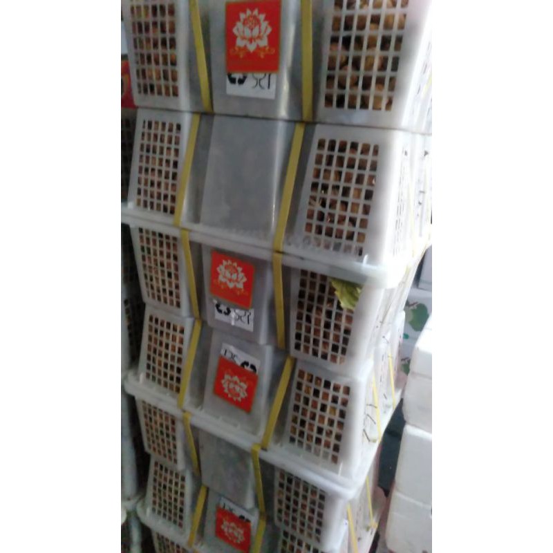 

Kelengkeng Citra Segar Sehat per Box 15 kg
