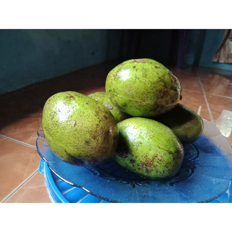 

Buah Kedondong Buah Dondong Buah Kedondong Segar Buah Rujakan Buah Rujak