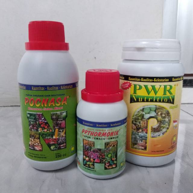 Tabulampot nasa