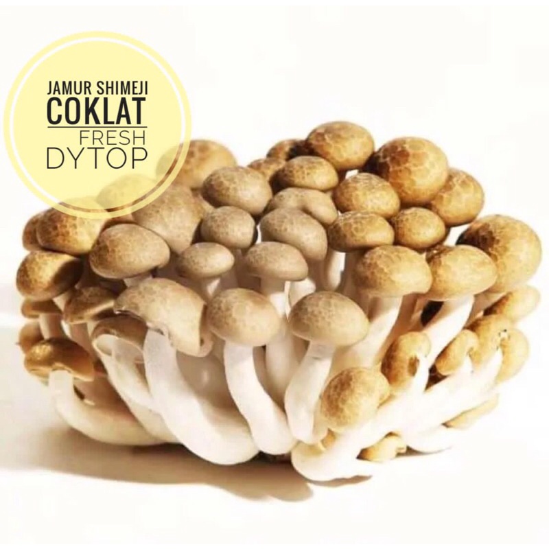 

Mushroom Jamur Shimeji Coklat Fresh Import - Per Pack