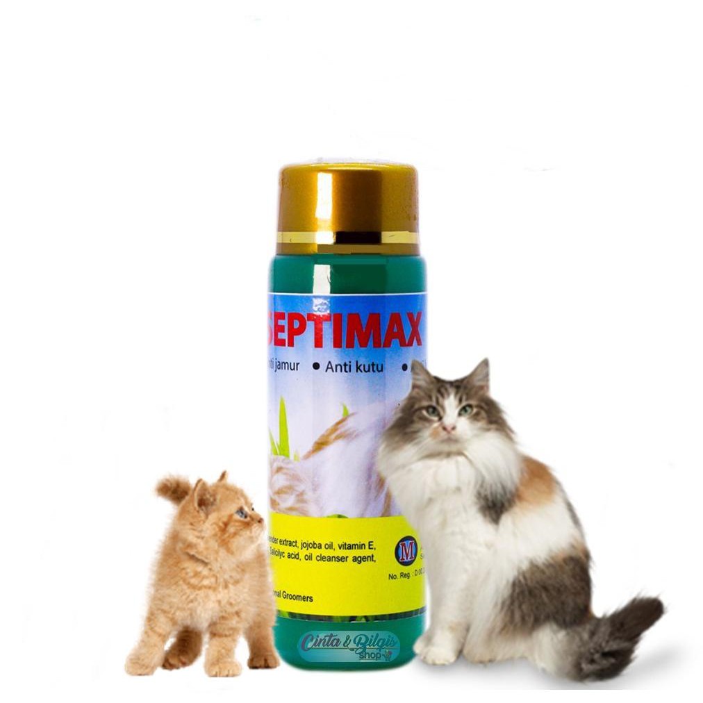 Sampo Kucing SeptiMax Shampoo 5 in 1 Anti Kutu jamur Minyak melembutkan Tick dan Flea