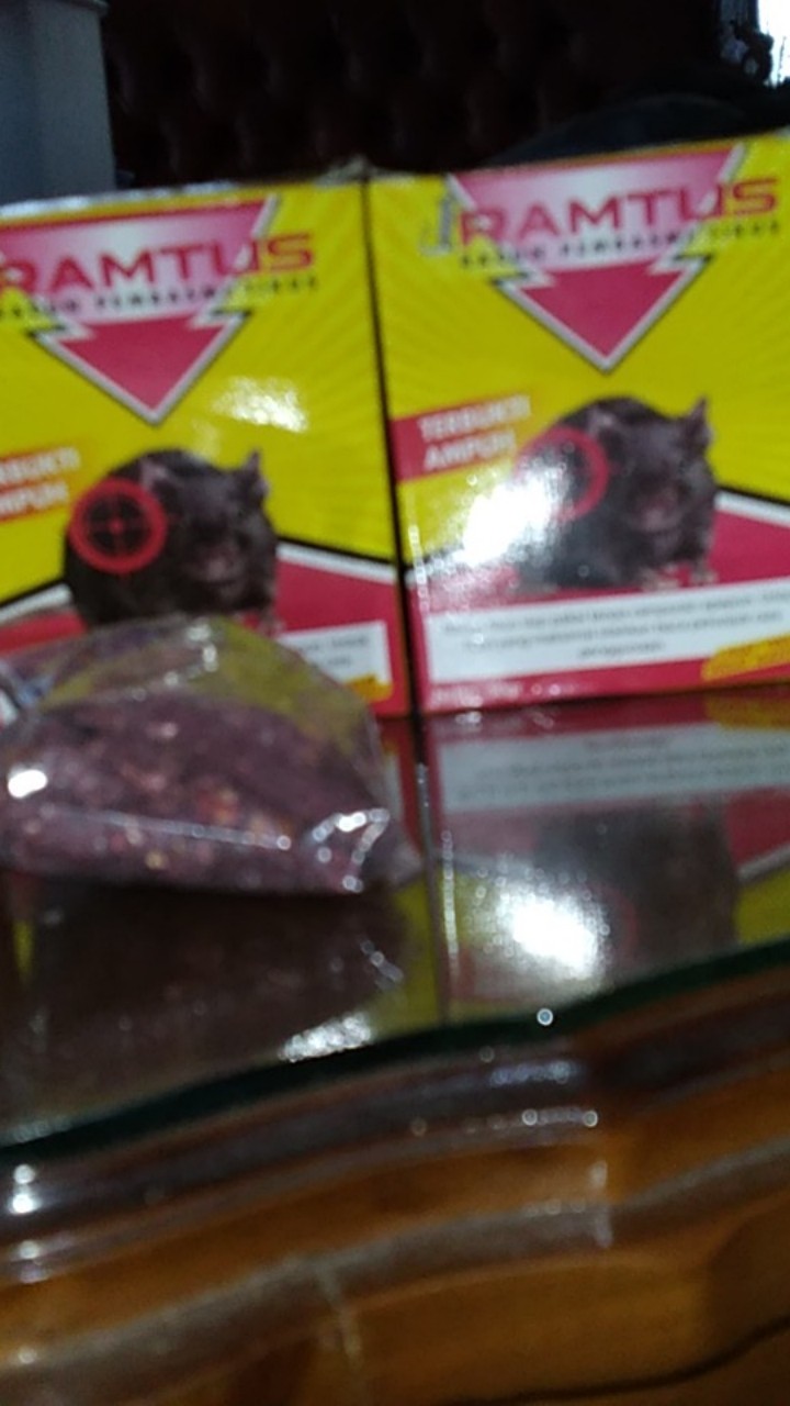 Umpan Jebakan Tikus Paling Ampuh Ramtus Racun Pembasmi Tikus Mati Kering Obat Pembunuh Tikus 2 Pack