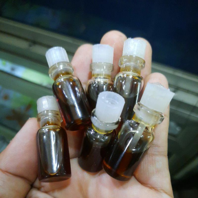 minyak gaharu super wangi asli kalimantan