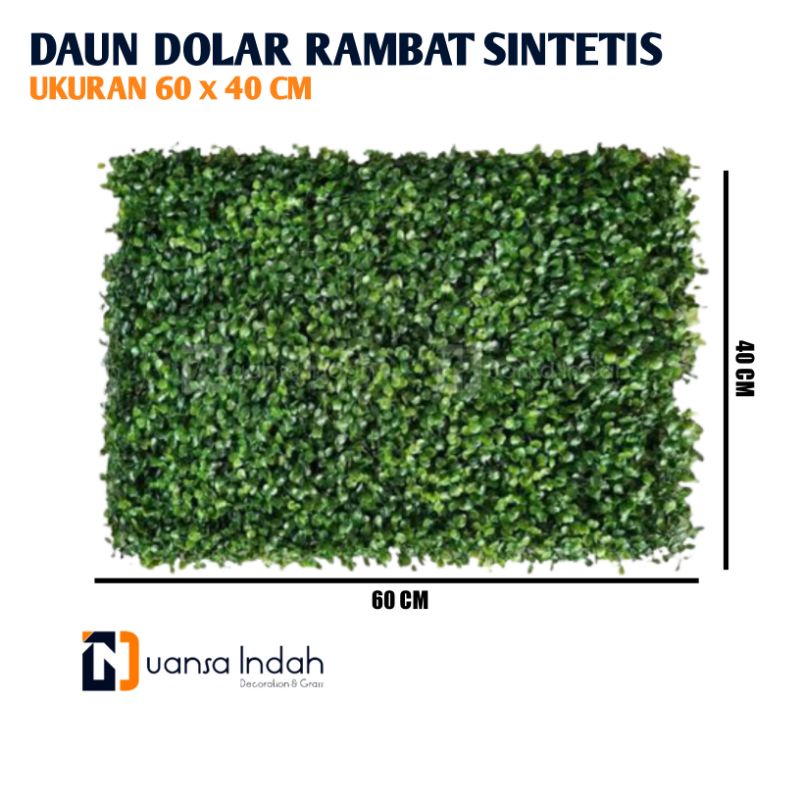 daun dolar rambat sintetis ukuran 60x40cm