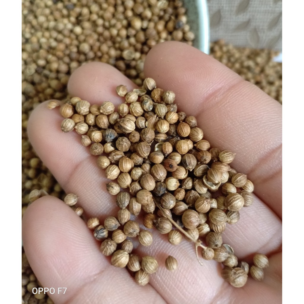 

Ketumbar Biji 500gr