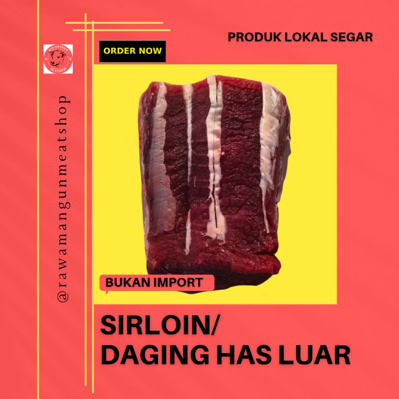 

DAGING SAPI FRESH LOKAL SEGAR HAS LUAR SIRLOIN LAMUSIR BELAKANG LULUR LUAR 500 GRAM