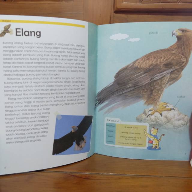 Buku Pengetahuan Anak Hewan Tumbuhan Burung Serangga Ensiklopedia
