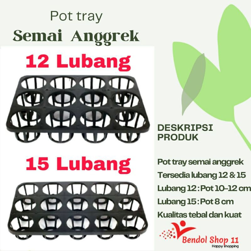 Pot tray semai anggrek