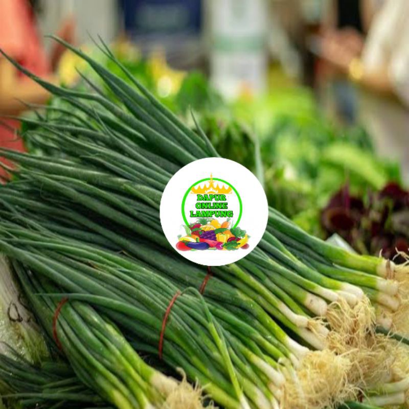 

DAUN BAWANG PREI DAGING / GODONG PREI / PRE / SAYURAN SEGAR / PER IKAT Bandar Lampung