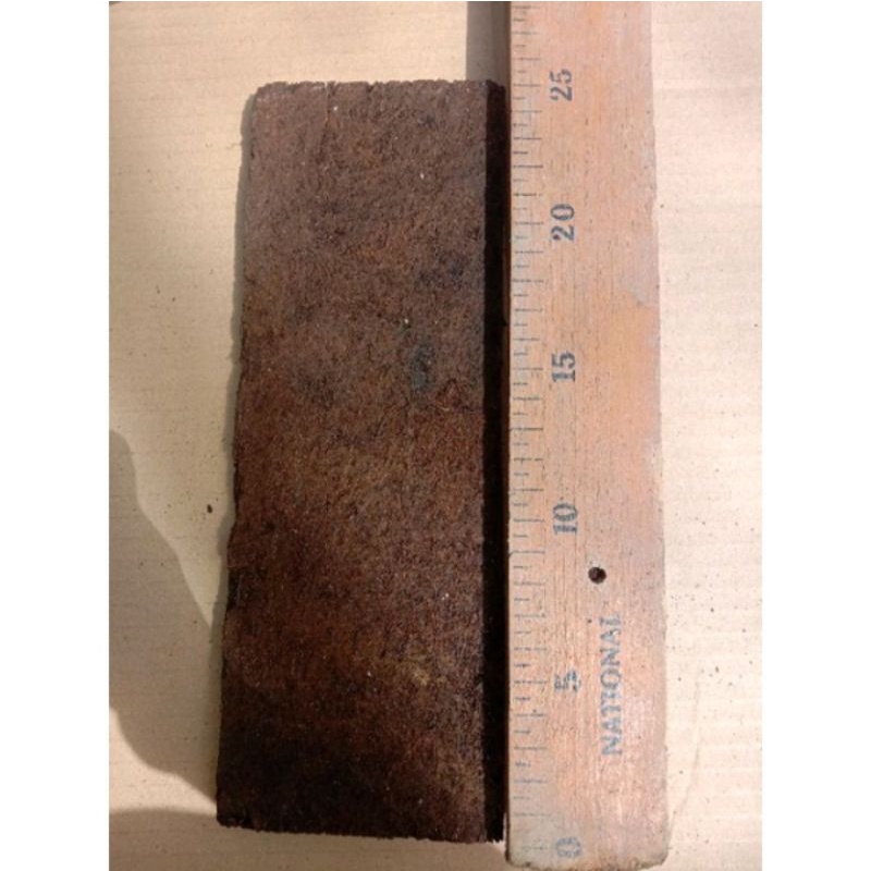 Papan kayu pakis media Anggrek