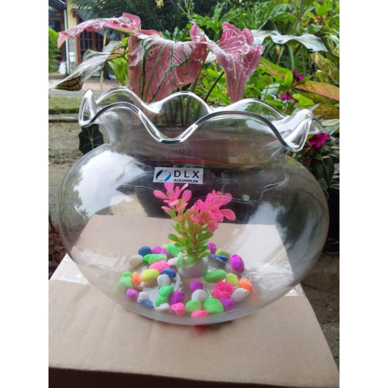 aquarium dlx 3,3 liter