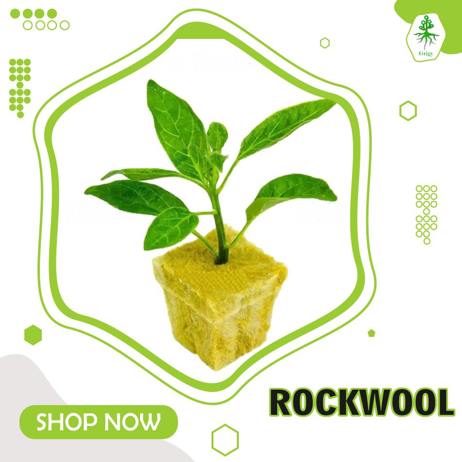 ROCKWOOL MEDIA TANAM HIDROPONIK