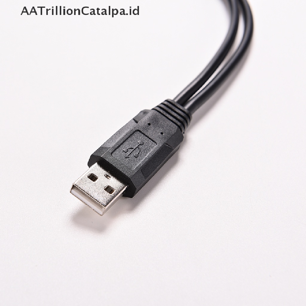 Aatrillioncatalpa Kabel Adapter Splitter Y USB 2.0 A Male Ke 2 Dual USB Female Jack Power