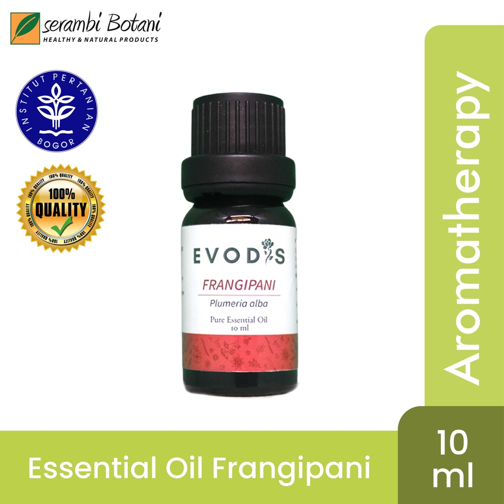 Essential Oil & Aromatheraphy Evodis Frangipani