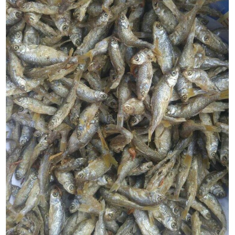 

Ikan Bilih Goreng Galundi danau singkarak