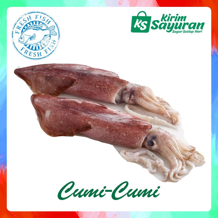 

Cumi Besar / 2-3 ekor (500 g)
