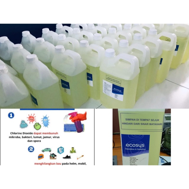 Ecosys Handsanitizer