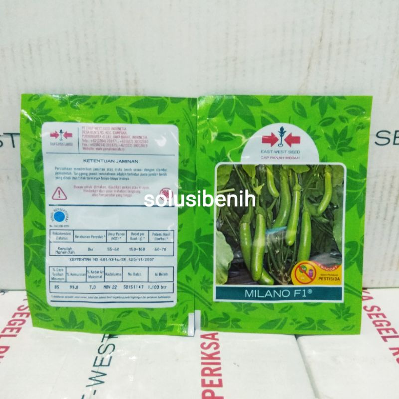 Benih Terong Hijau MILANO F1 isi 1.100 Butir
