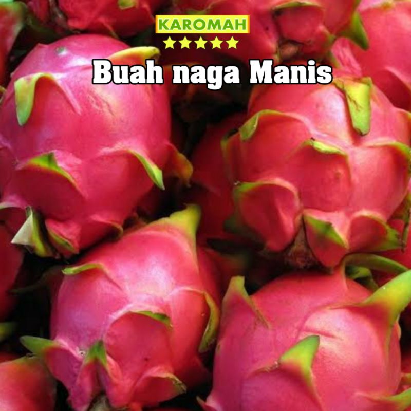 Jual Buah Naga Merah Super 1kg Isi 2 Buah Buah Naga Merah Lokal Super Shopee Indonesia 1192