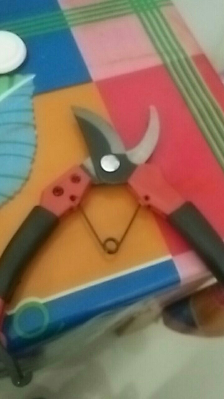 Gunting Dahan 8 Gunting Tanaman Ranting Bonsai Bunga Pruning Shears Kenmaster K800 Ken Master K 800