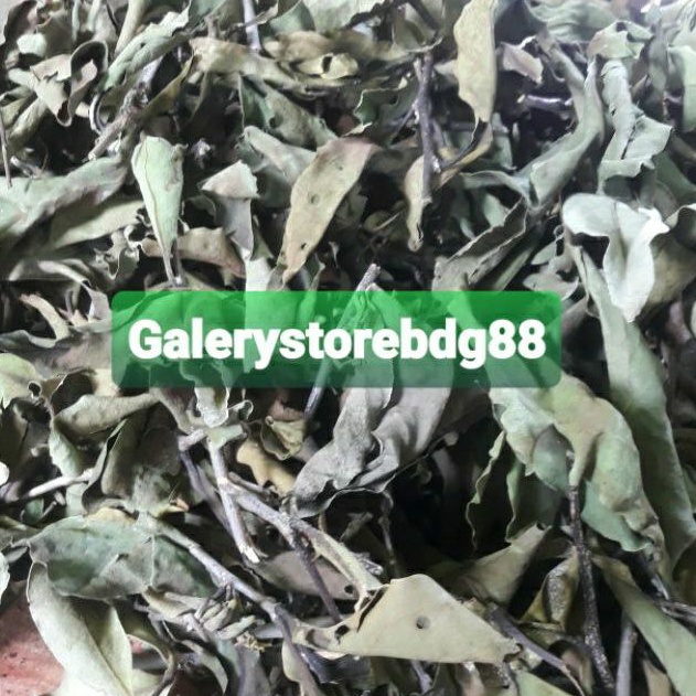 

Jual benalu kelor kering 200 gram organik alami-az