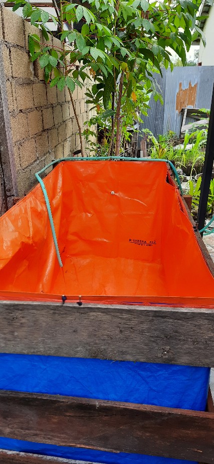 Terpal Kolam Ikan Lele Ukuran ( 200x100x100cm ) Sejuta% Original A12 Cocok Untuk Budidaya Ikan