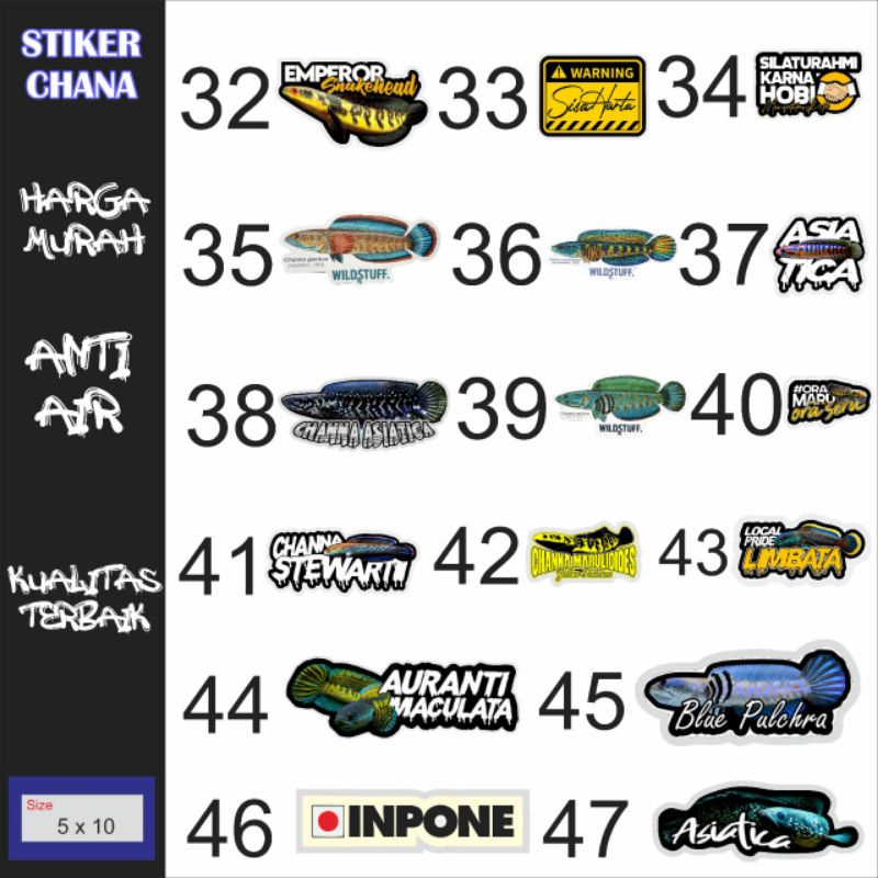 Sticker ikan CHANNA AQUARIUM,STICKER,antiAIR stiker ikan hias aquarium stiker cana , cana , stiker chana , chana