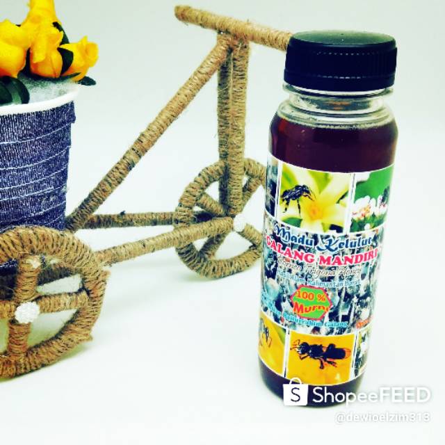 

Madu kelulut