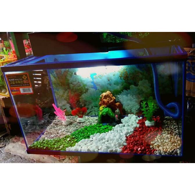 restok Aquarium Nikita 60 X 30 Fullset the best