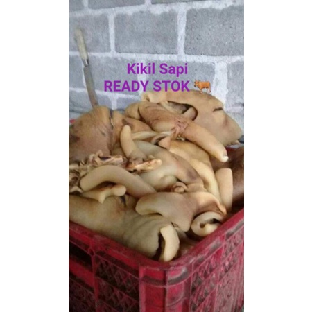 

kikil segar
