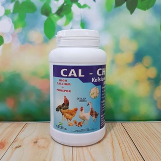 KALK KALSIUM 1 BUTIR CAL CHICK MENCUKUPI KALSIUM MINERAL AYAM UNGGAS BEBEK BURUNG HEWAN TERNAK