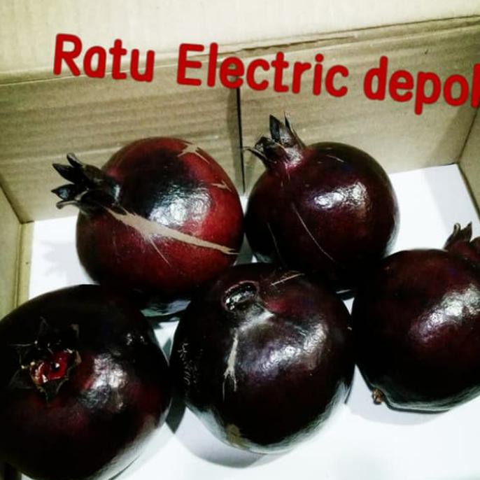 buah delima hitam / delima hitam ratele992 Segera Dapatkan