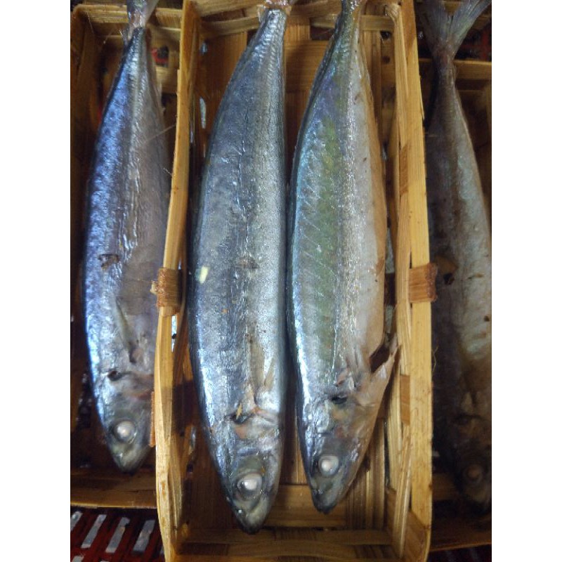 

Ikan Cue Keranjang Per Ekor