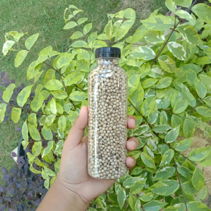 

merica butir asli kemasan botol 250ml