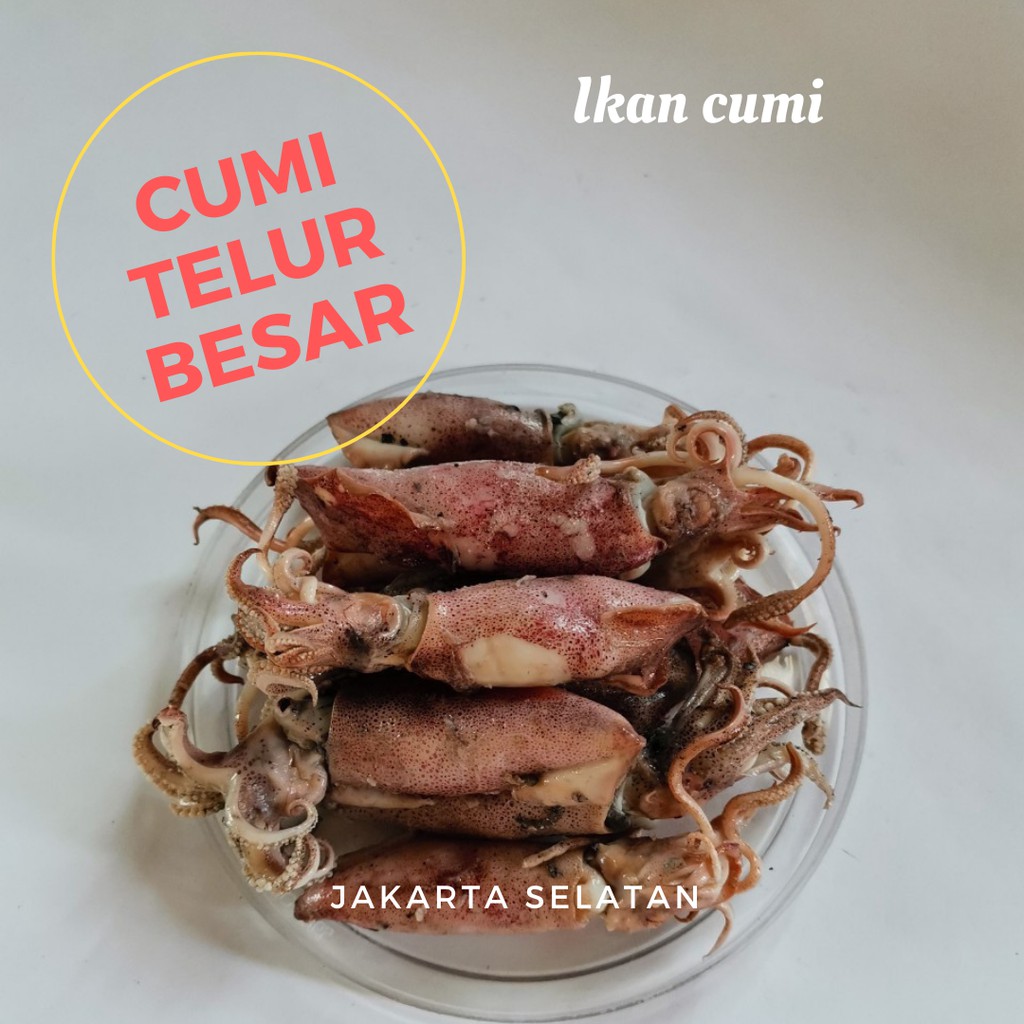 

Cumi sotong asin besar