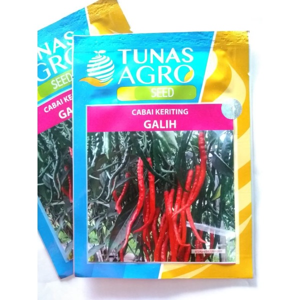 Benih Cabe GALIH F1 10gram, type jacko 99, benih cabe murah, CMK cabe merah keriting hibrida tahan p