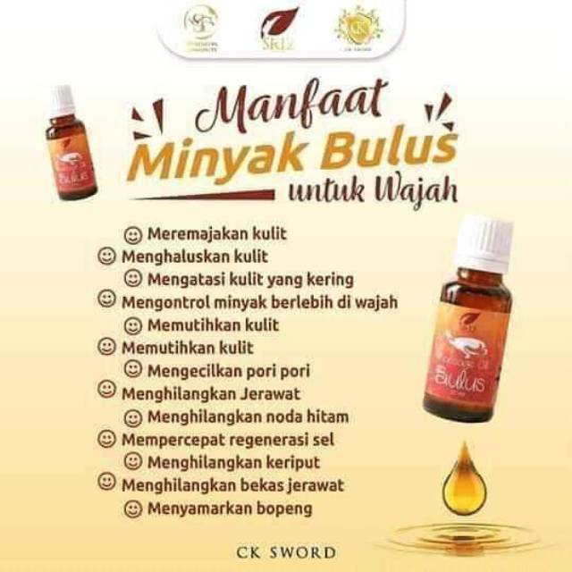 Massage Oil Bulus Minyak Bulus Sr12 Shopee Indonesia