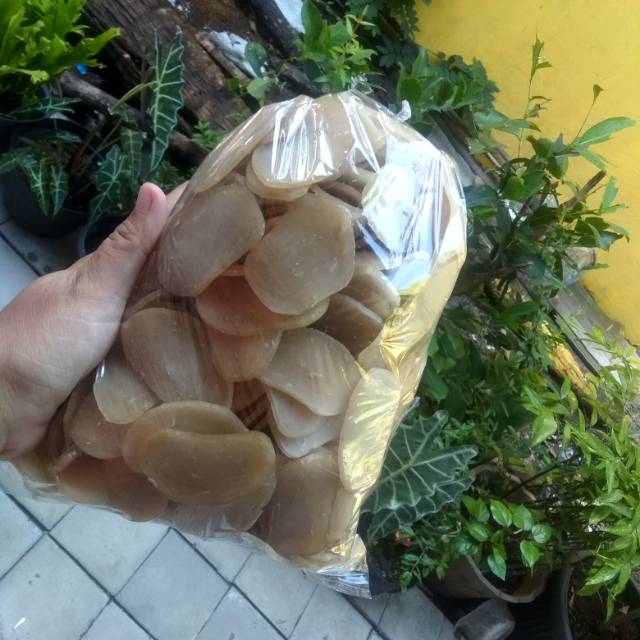 

Kerupuk Ikan Laut Mentah Khas Sidayu Gresik size besar 1kg