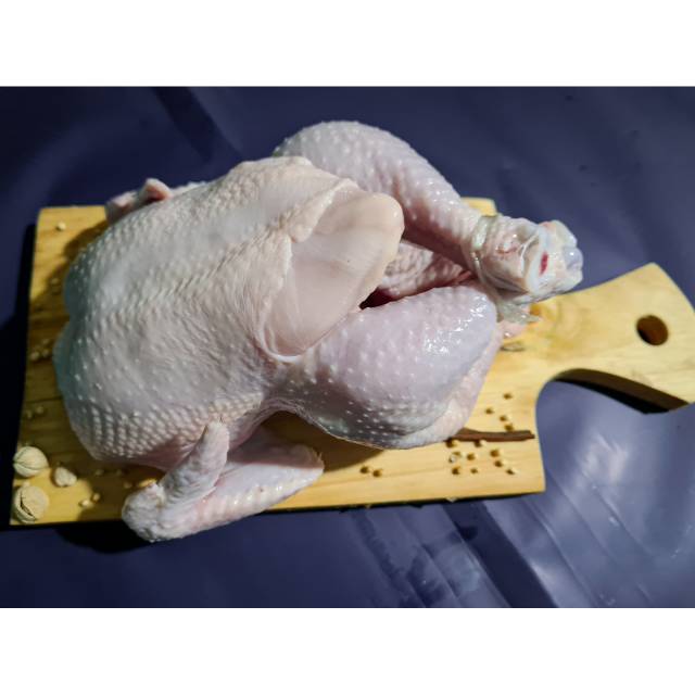 

Ayam utuh segar