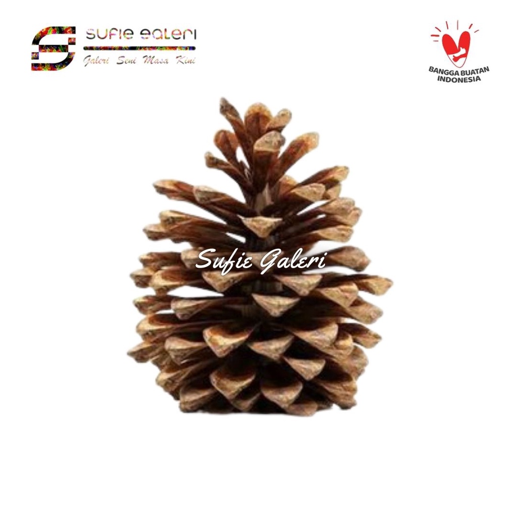 Biji Buah Bunga Pinus Pine Kone Besar Mekar Kering Asli Alami Bahan Kerajinan Dekorasi Rustik Mahar 